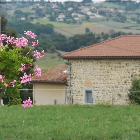 بيت للعطل Rustique Avec Cheminee, Jardin Et Wifi - Fr-1-496-175 Aveizieux